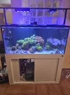 [TodoMarino.com] Acuario marino 130×60×60