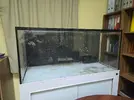 [TodoMarino.com] Acuario marino 130×60×60