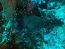 [TodoMarino.com] Mar Rojo