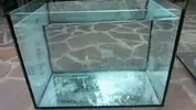 [TodoMarino.com] mixifu reef