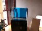 [TodoMarino.com] mixifu reef
