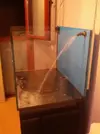 [TodoMarino.com] mixifu reef