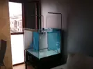 [TodoMarino.com] mixifu reef
