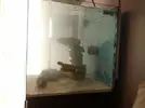 [TodoMarino.com] mixifu reef