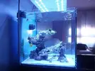 [TodoMarino.com] mixifu reef