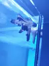 [TodoMarino.com] mixifu reef
