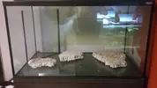 [TodoMarino.com] Nuevo en marino, proyecto 150l+sump desde Valencia.