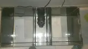 [TodoMarino.com] Nuevo en marino, proyecto 150l+sump desde Valencia.