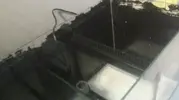 [TodoMarino.com] Nuevo en marino, proyecto 150l+sump desde Valencia.