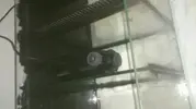 [TodoMarino.com] Nuevo en marino, proyecto 150l+sump desde Valencia.