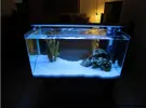 [TodoMarino.com] Les presento mi Primer Acuario Marino