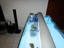 [TodoMarino.com] Les presento mi Primer Acuario Marino