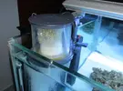[TodoMarino.com] Les presento mi Primer Acuario Marino