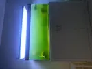 [TodoMarino.com] mi acuario horrorosamente verde