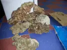[TodoMarino.com] novato desde la vera duda agua