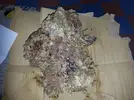 [TodoMarino.com] novato desde la vera duda agua