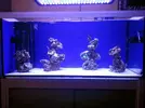 [TodoMarino.com] Reef Island 480L