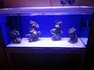 [TodoMarino.com] Reef Island 480L