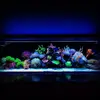[TodoMarino.com] Micro reef  56 litros