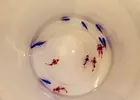 [TodoMarino.com] ¡Última llegada de peces marinos y corales!