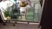 [TodoMarino.com] ¿qué opináis de este sump?