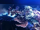 [TodoMarino.com] Empezando en el mundo del Marino