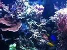 [TodoMarino.com] Empezando en el mundo del Marino