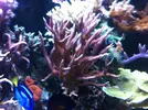 [TodoMarino.com] Empezando en el mundo del Marino