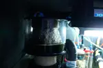 [TodoMarino.com] mixifu reef