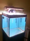 [TodoMarino.com] Iniciando un cubo de 60l