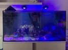 [TodoMarino.com] Acuario marino 300l