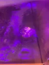 [TodoMarino.com] Acuario marino 300l