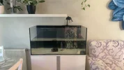 [TodoMarino.com] Acuario marino 300l