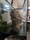 [TodoMarino.com] Acomodo de piedra