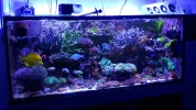 [TodoMarino.com] Configuración popbloom rl90