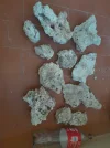 [TodoMarino.com] Vendo roca acuario marino