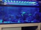[TodoMarino.com] Venta por mudanza