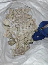 [TodoMarino.com] Filtración biologica