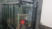 [TodoMarino.com] Regalo sump de 150 litros