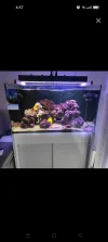 [TodoMarino.com] Se vende acuario sirocco