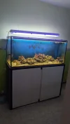 [TodoMarino.com] ACUARIO DE 420L