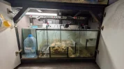 [TodoMarino.com] ACUARIO DE 420L