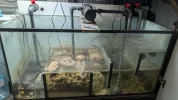 [TodoMarino.com] ACUARIO DE 420L