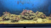 [TodoMarino.com] ACUARIO DE 420L