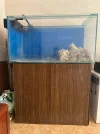 [TodoMarino.com] Acuario 270 Litros