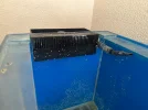 [TodoMarino.com] Acuario 270 Litros
