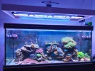 [TodoMarino.com] Nuevo 450l desde el 90l
