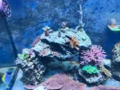 [TodoMarino.com] Nuevo 450l desde el 90l