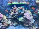 [TodoMarino.com] Nuevo 450l desde el 90l