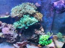 [TodoMarino.com] Nuevo 450l desde el 90l
